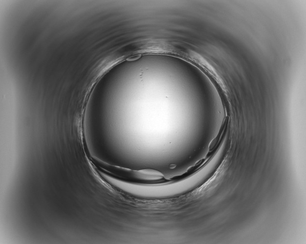 X0000096481433200801241435