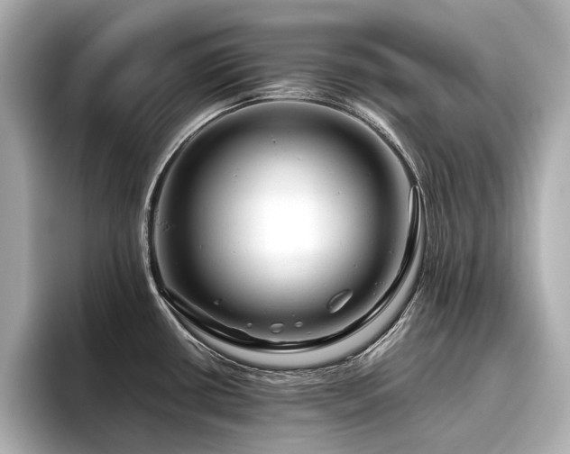 X0000096481434200801241435