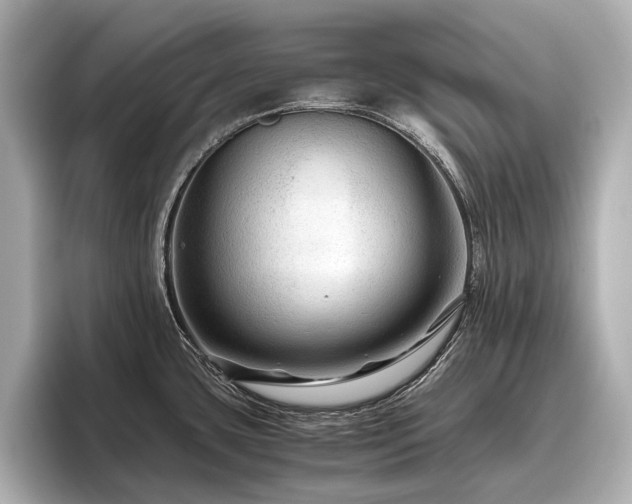X0000096481435200801241435