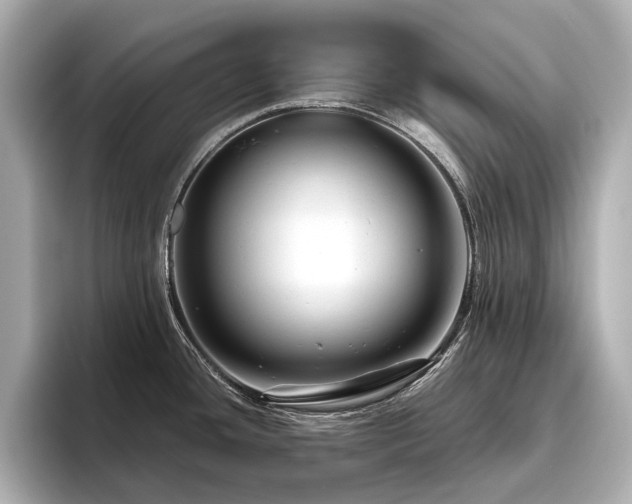 X0000096481436200801241435