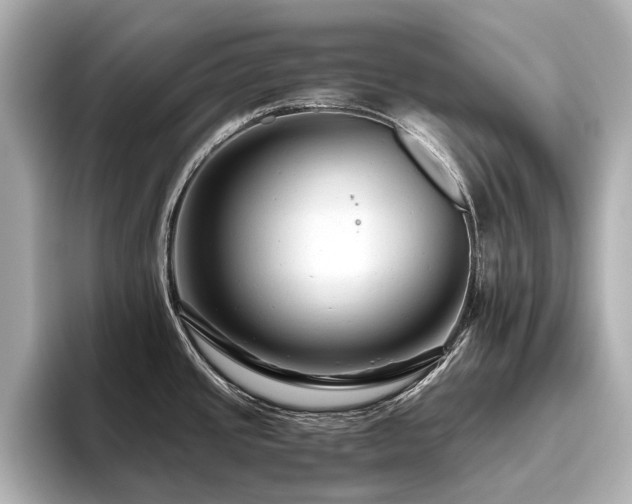 X0000096481437200801241435