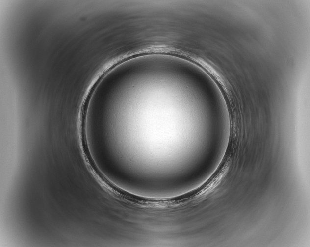 X0000096481438200801241435