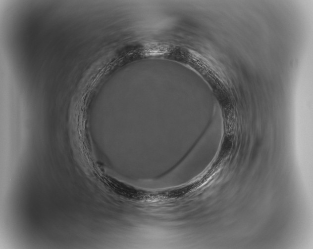 X0000096481441200801241435