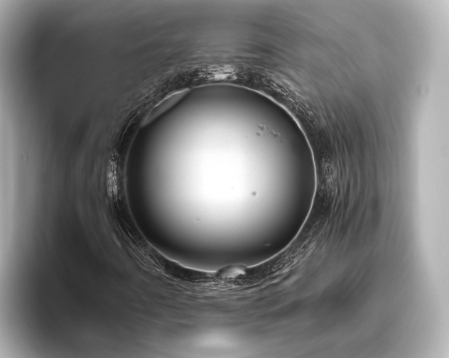 X0000096481442200801241435