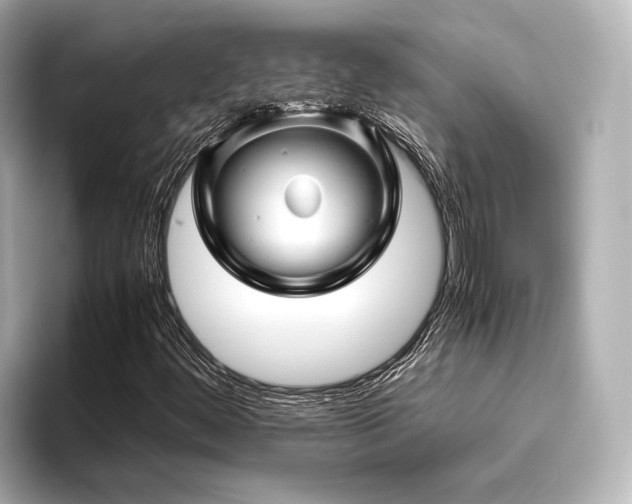 X0000096481444200801241435