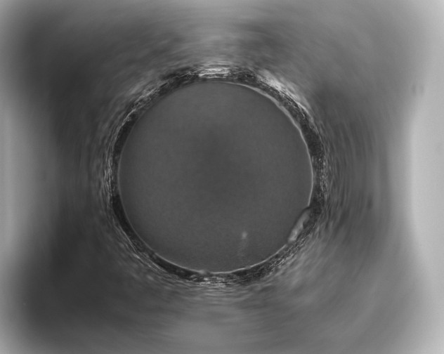 X0000096481445200801241435