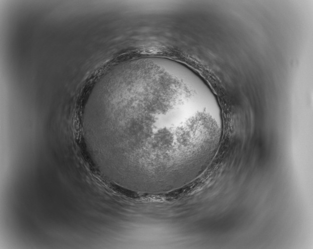 X0000096481446200801241435