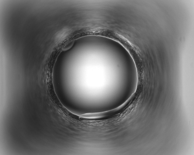 X0000096481447200801241435