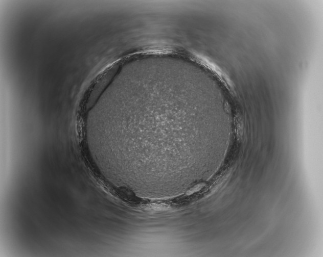 X0000096481448200801241435