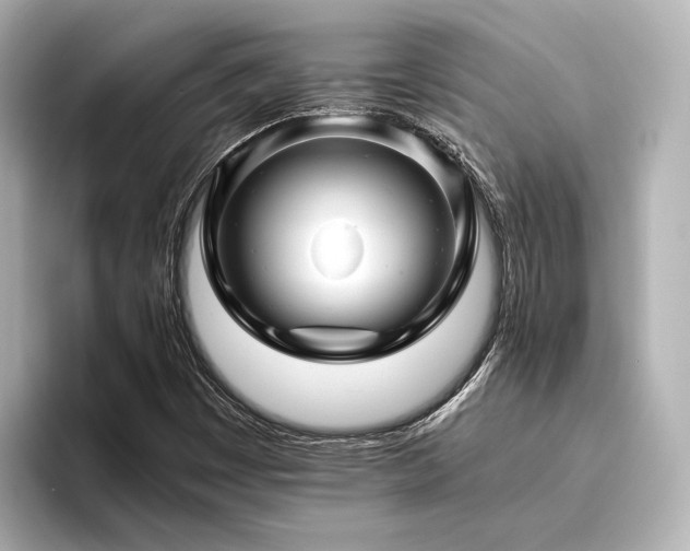 X0000096481449200801241435