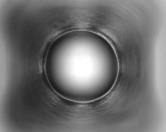 X0000096481451200801241435