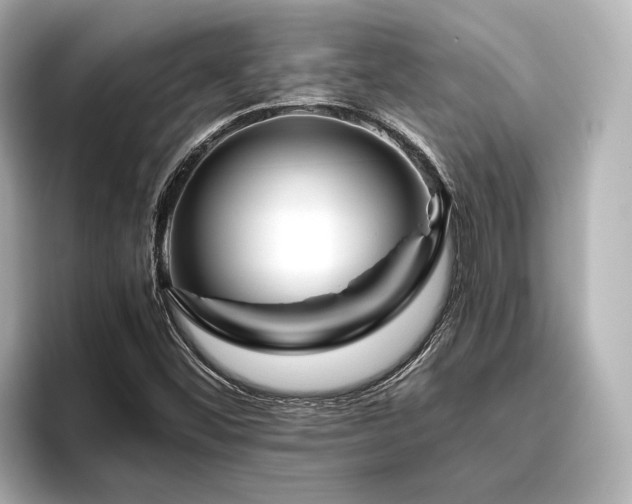 X0000096481452200801241435