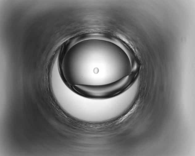 X0000096481453200801241435