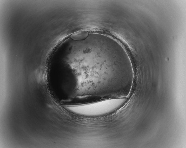 X0000096481455200801241435