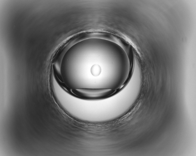 X0000096481456200801241435