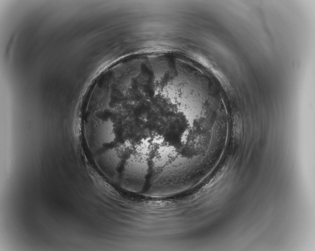 X0000096481459200801241435