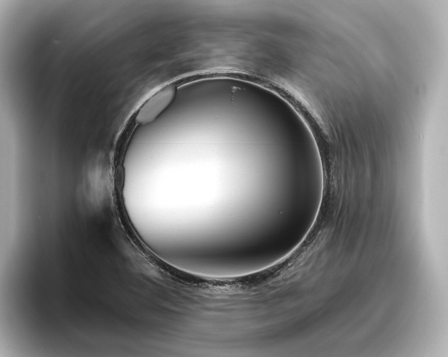 X0000096481460200801241435