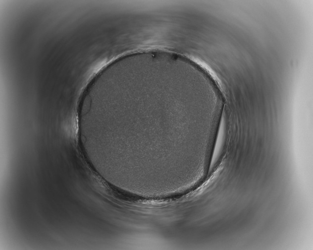 X0000096481461200801241435