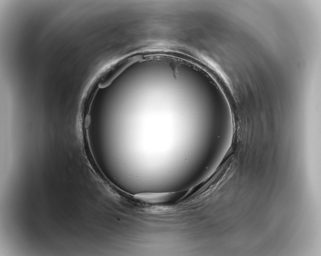 X0000096481464200801241434