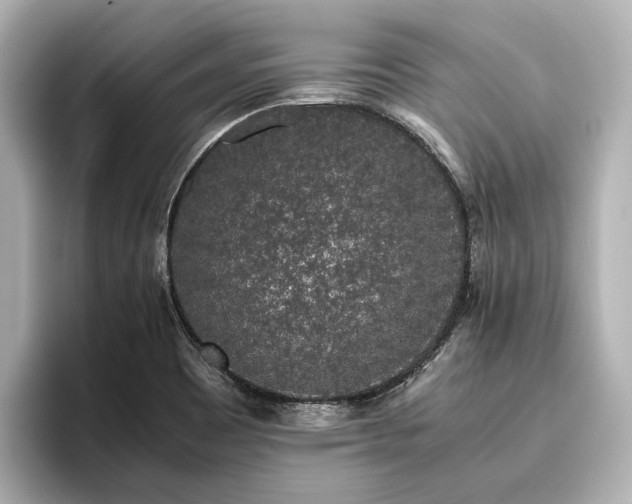 X0000096481465200801241434