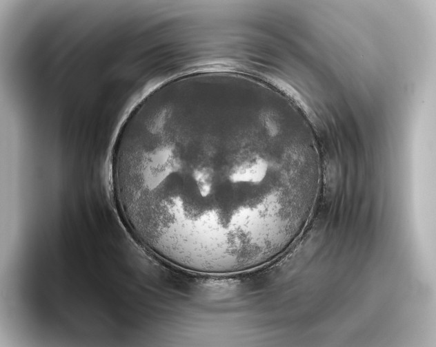 X0000096481466200801241434