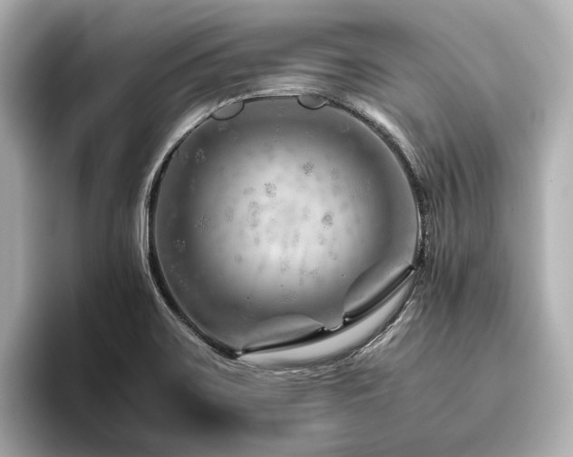 X0000096481467200801241434