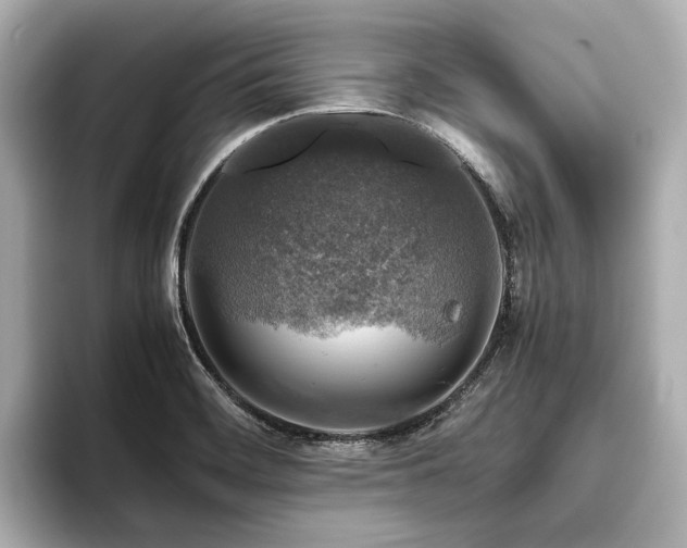 X0000096481468200801241434