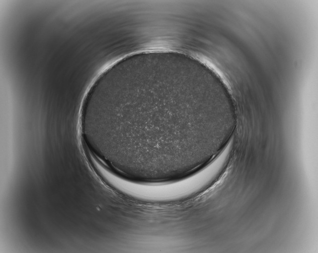 X0000096481469200801241434