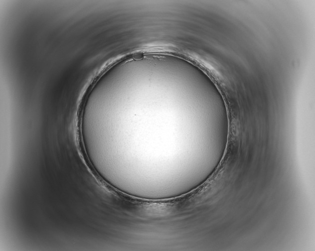 X0000096481470200801241434