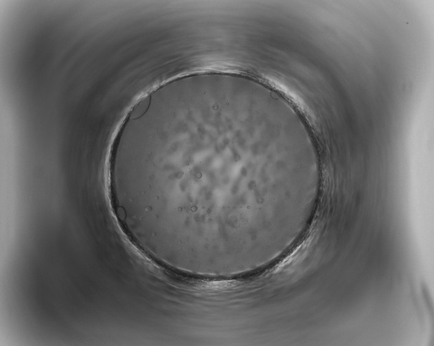 X0000096481471200801241434