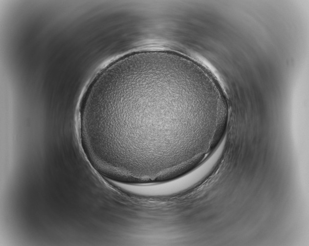 X0000096481472200801241434