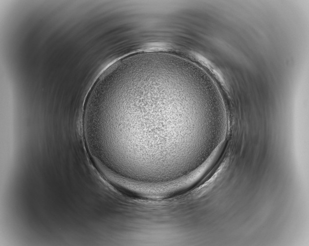 X0000096481473200801241434