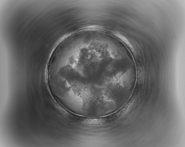 X0000096481474200801241434