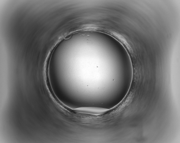 X0000096481475200801241434