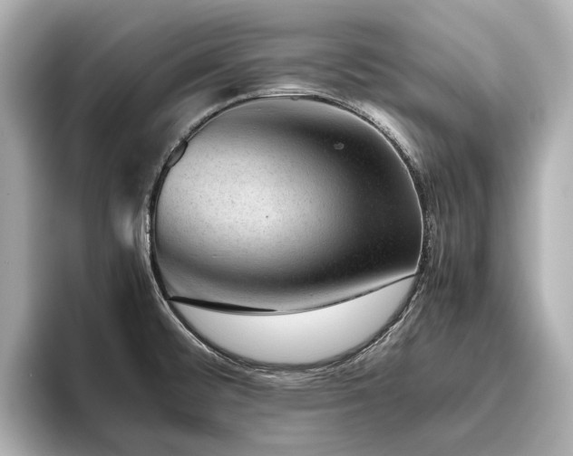 X0000096481476200801241434