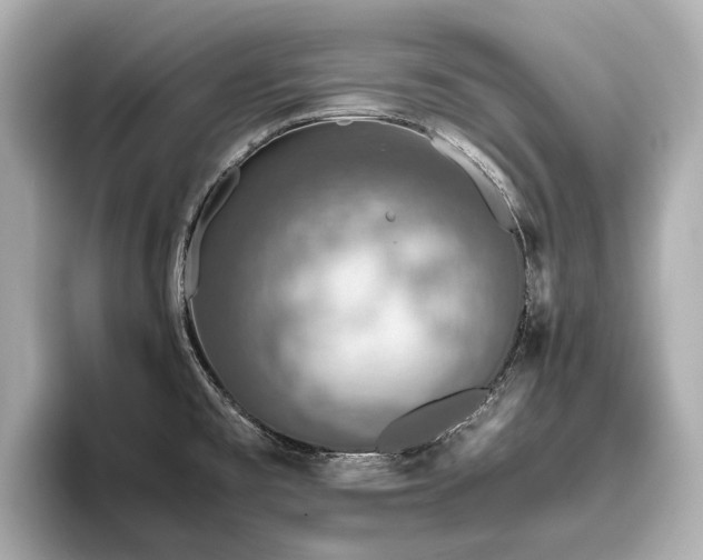 X0000096481477200801241434