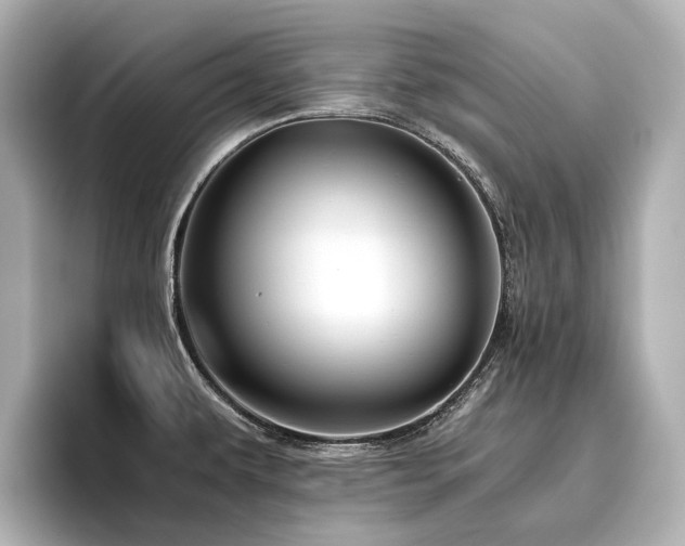 X0000096481479200801241434