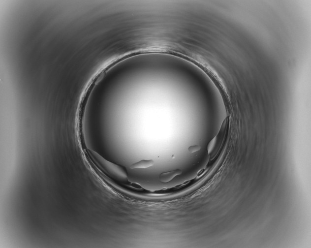 X0000096481480200801241434