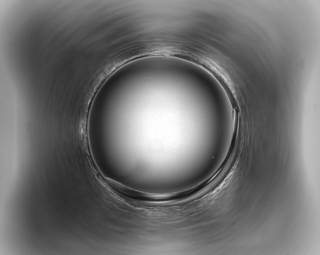 X0000096481481200801241434