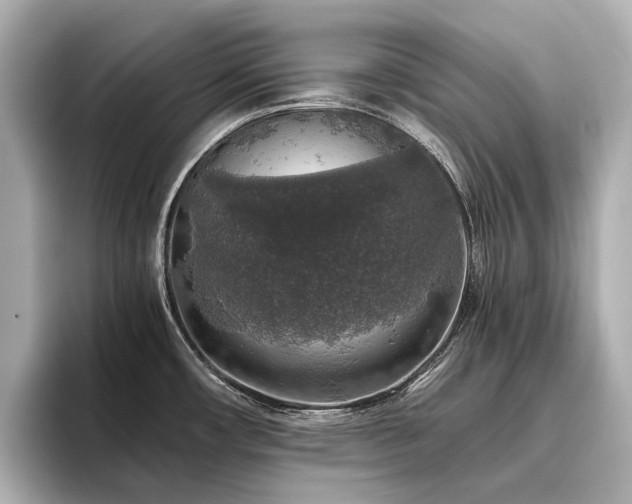 X0000096481482200801241434