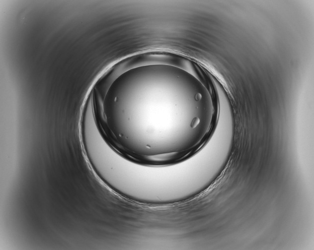 X0000096481484200801241434