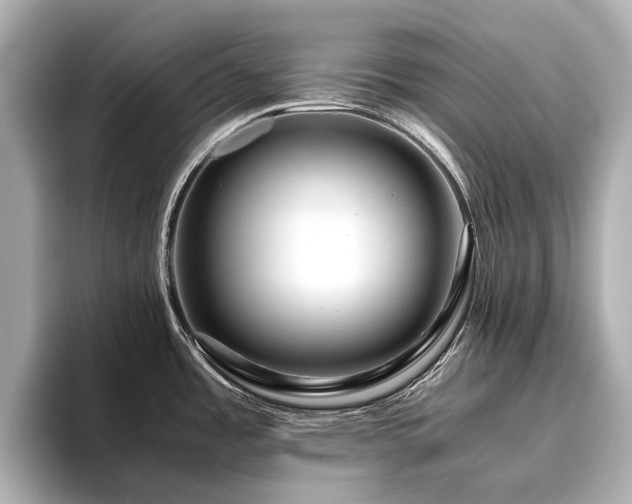 X0000096481485200801241434