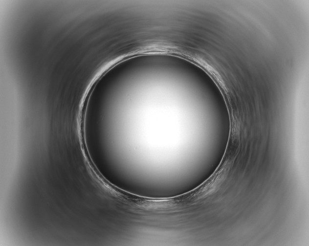 X0000096481486200801241434