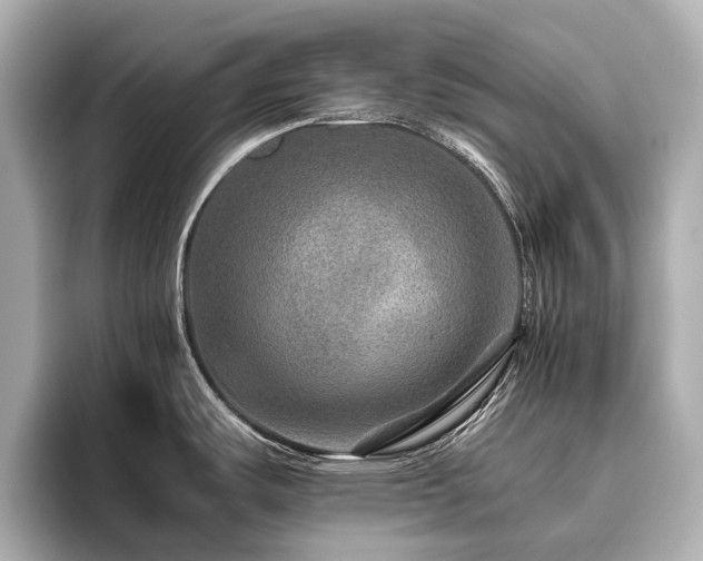 X0000096481487200801241434