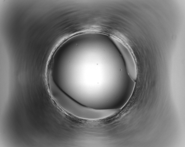 X0000096481488200801241434