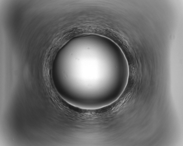 X0000096481489200801241434