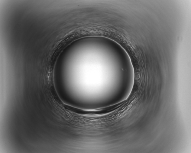 X0000096481490200801241434