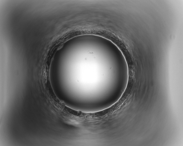 X0000096481493200801241434