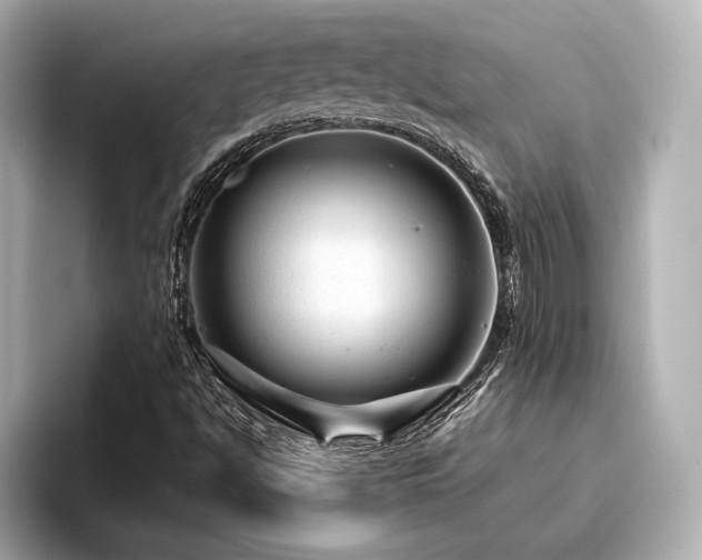 X0000096481494200801241434