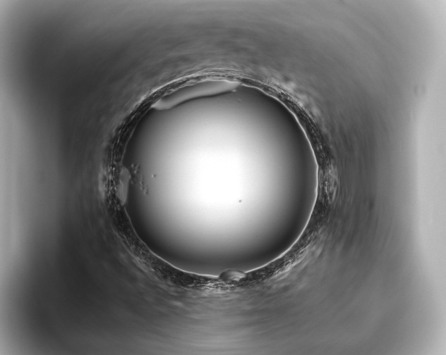 X0000096481496200801241434